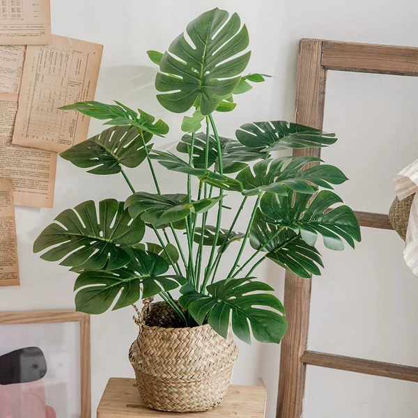 70 cm large turtle back + Nordic basket placed on the table