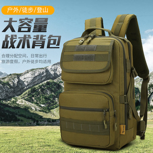 Wholesale Large-Capacity Military Fan Tactical Backpack Outdoor Hiking Sports Travel Mountaineering Bag Multi-Functional Leisure Backpack