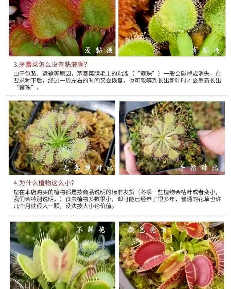 微信图片_20210520111350