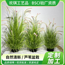 �羳�����JȔ�ݹ�β�Ͳ����[�ݴ���ֲ���辰�Ƶ��҃��b��쾰���