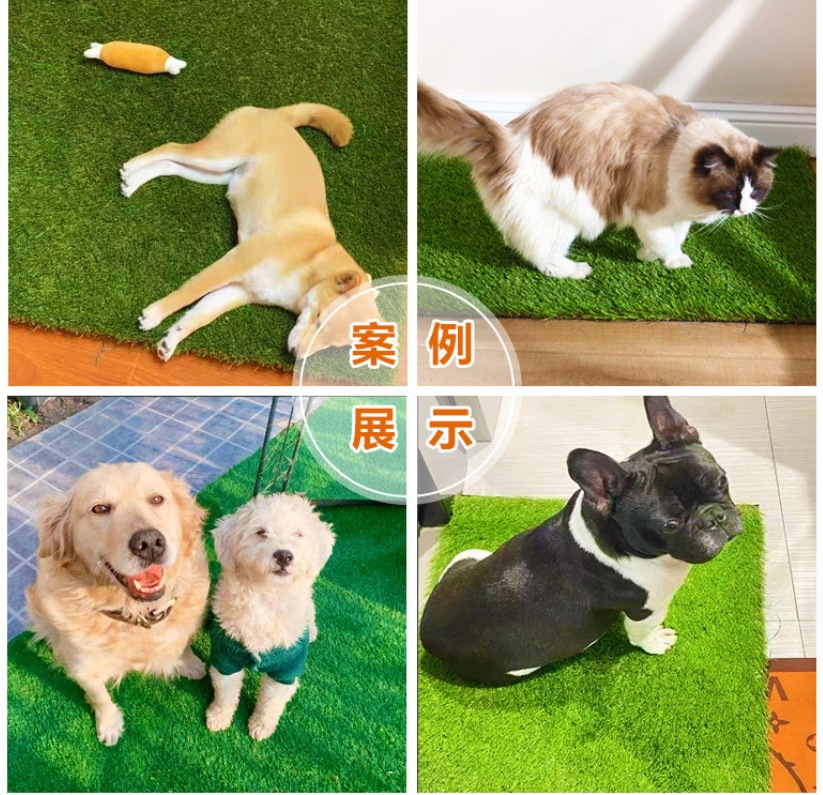 微信截图_20231101213607