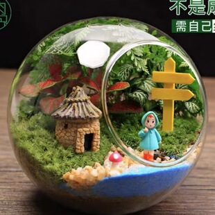 ΢���^diy���϶���ֲ��̦�\���B����ƿ ���ԾG΢�^ֲ�쾰�YƷ���b