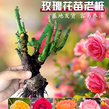 6 õ廨_Իֲ҃Ȼ¼شϘ