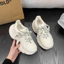 װϵЬŮ2025СܛƤfKKe\Ь