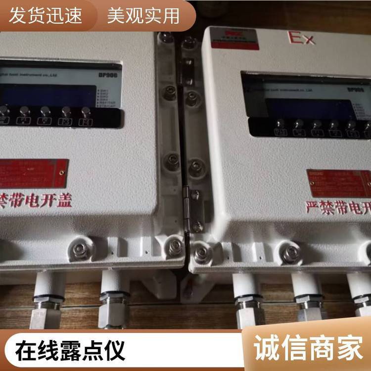 露点仪温湿度 压差显示屏工业温湿度计显示仪继电器报警含水量