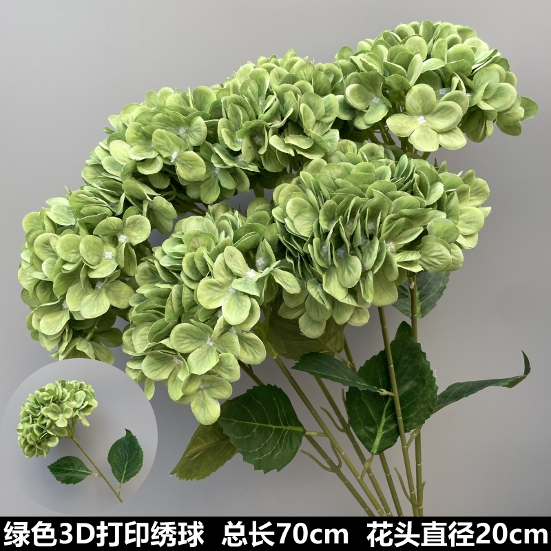 투명한 녹색 3D 프린팅 수국
