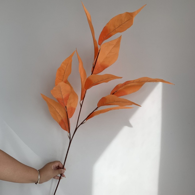 微信图片_20230920144358_副本