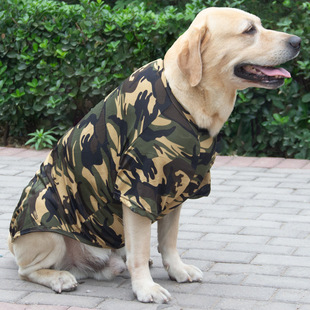 �����·��Բ��Ŀ����ë���������ë����Ȯ����Ȯ����͸�����e��