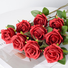 ����õ�廨�ٻ� ��c�Ҿ��b�����õ�廨���������l����С����