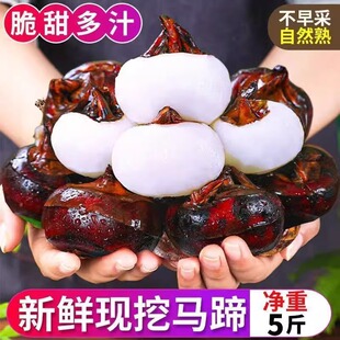 ���ڏV�������R��ݩ�j�������rˮ���������ڵ��������ʳ