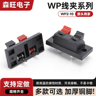 Connection Clip Wp2-10 Audio Wiring Clip 2-Position Quick Clip Aging Test Clip Terminal Cylindrical External Wiring Base Iron
