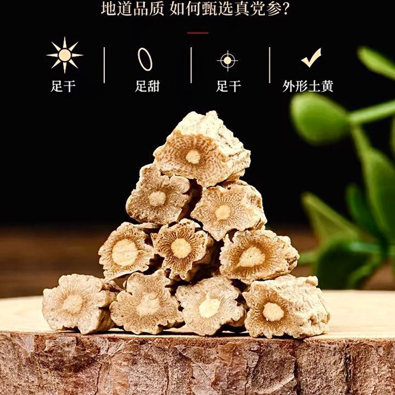 Dried Codonopsis Root Dang Shen 100g Bottle Selected Cut Herb for Tea and Soup quality and texture