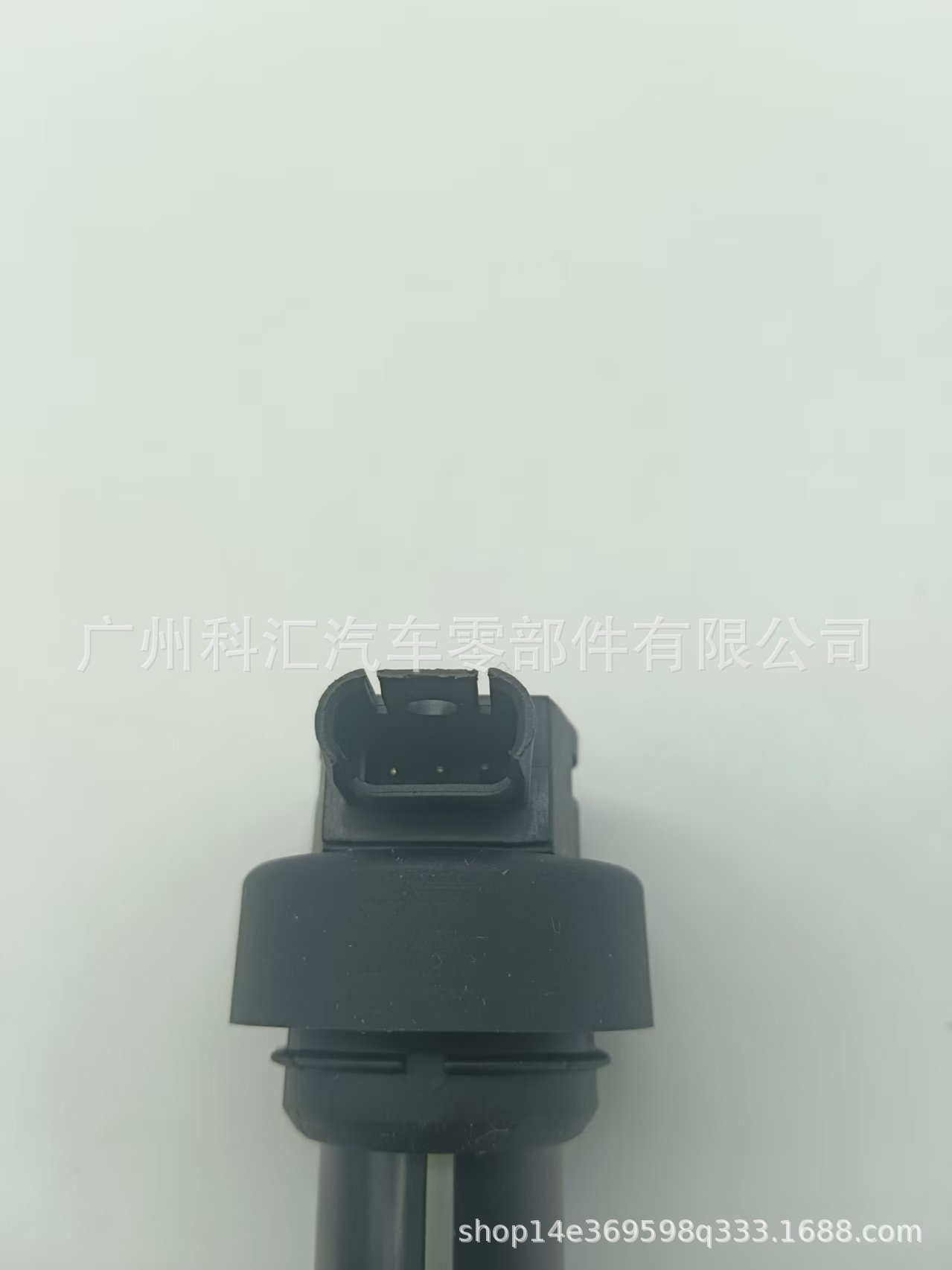 Ignition Coil 7710874-01 102289-10 1213771087 Bmw Motorcycle Gs310R K46