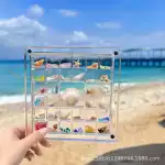亚克力贝壳收纳盒高透磁吸带盖海边迷你贝壳收纳盒贝壳收纳展示盒