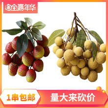 ����ˮ����ģ�͙����Ʒ�������۴����A��������֦��÷�SƤ�ك|�a