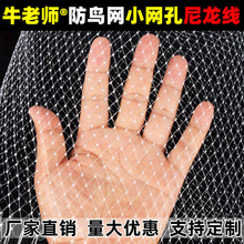 ���B�W���������B�õľW�������������י��Ҙ�W�֘��~���Bֳ�W