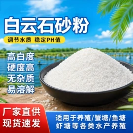 石英;碳酸钙;氢氧化钙