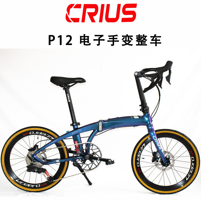 Crius Dolphin Curved Handlebar Road Foldableing Bike 12 Speed