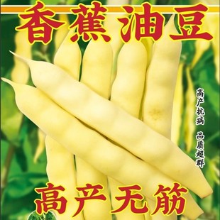�S�Ͷ��ǷN���㽶���Ͷ��N�ӽ�M�ܖ|���Ͷ��ǷN���S�����߲˷N��