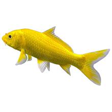 �\���ݽ��~���^�pС�~��ˮ2��ˮ�~�����~���B�t���\��