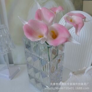 �R��ɏ������mini����������Ʒ�羳������]�xƷ�W�t�@ˇ�廨���x