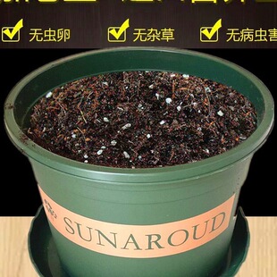 ����ӠI�B��������֬�Ӂ�����������ϷN��Gֲ�����¼�����