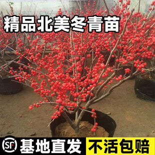 һ�����l�M�ڱ����������Ԏ��t���͹������������r���ͺ����ܱ���