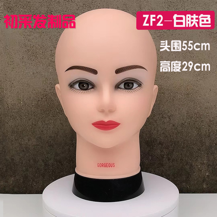 帽子のかつらのモデルの特頭は女性を支えます。|undefined