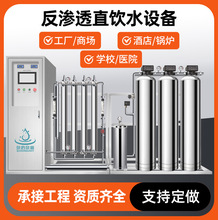 0.25-2吨反渗透直饮水设备学校园工厂医院水处理设备大型RO净水器
