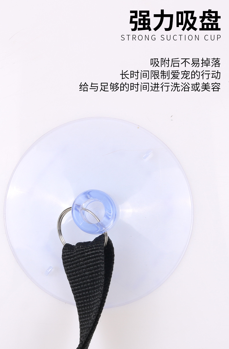 宠物吸盘项圈3.jpg