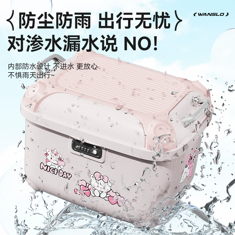 Universal compatible electric car, storage system, bag