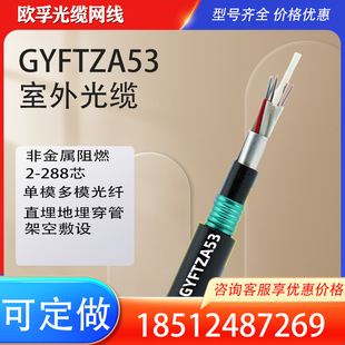 �W������16о�z�b��ȼ���|GYFTZA53-16B1.3 ��ģ���w�ǽ���ֱ��
