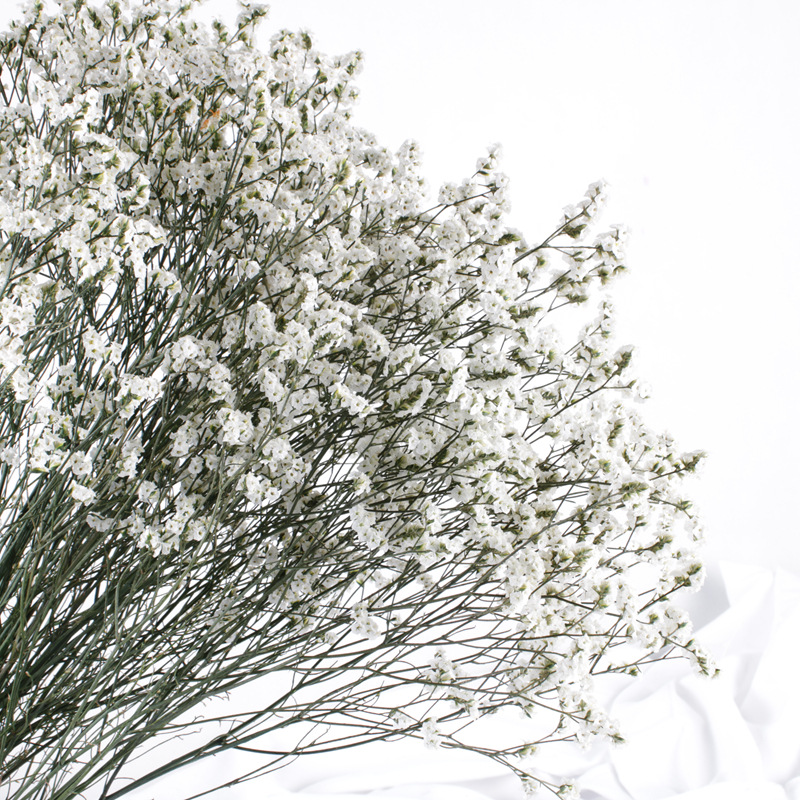 Yunnan fábrica mayorista de flores inmortales de cristal hierba flor seca pesa material DIY ramo de flores hechas a mano decoración del hogar