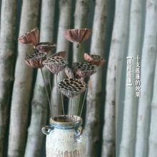 �ɻ���U��ɏ�Ӹ�ɏ���F�Uɏ��ֲ�������ɏ���ɏ���Ĕz����