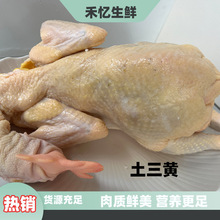 深山农家散养土三黄新鲜冷冻发货老鸡土鸡柴鸡笨鸡走地鸡商用家用