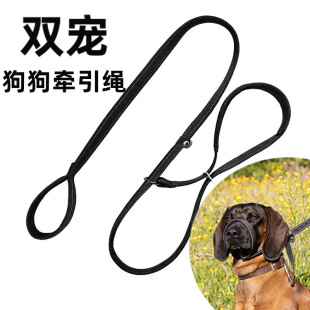 Cross-Border Pet Dog Leash, Dog Muzzle, Integrated Imitation Dog Leash, Golden Retriever Medium and Large Dog Chain Wholesale