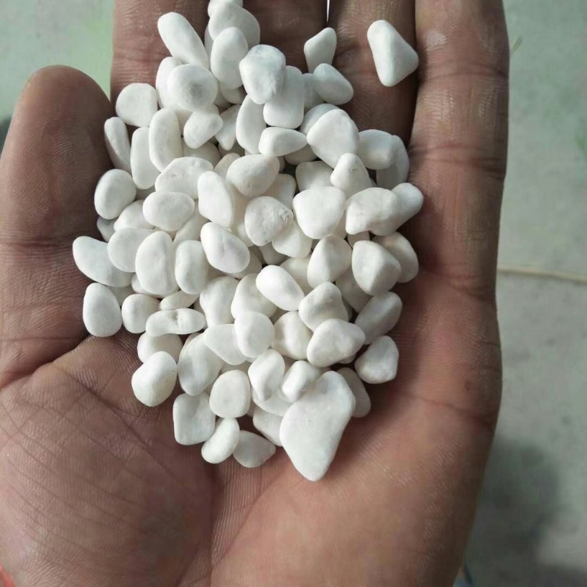 QQ图片20230215151400