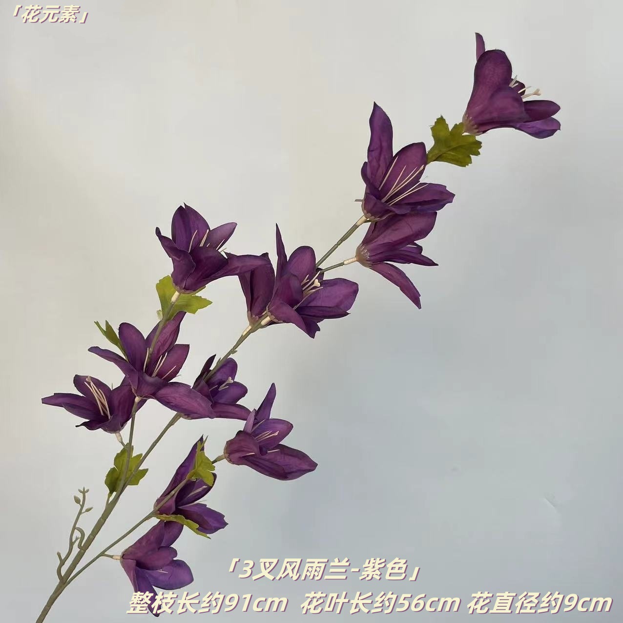 보라색