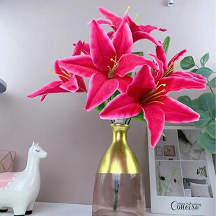 ���S����Ʒ�|6�^ĥë���ٺϻ��ϻ��m