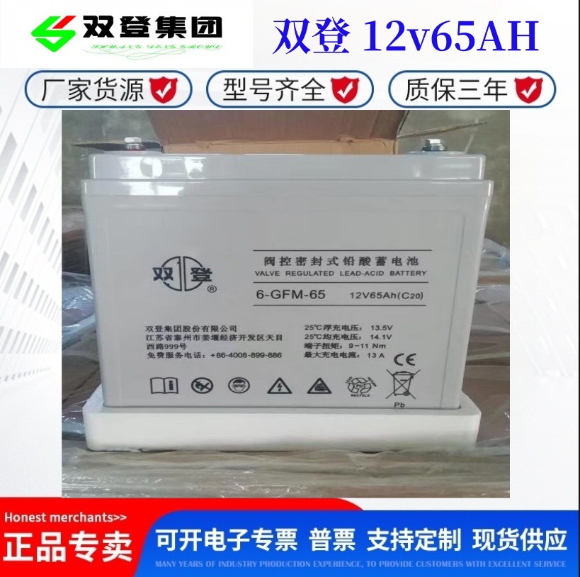 6-GFM-65通信光伏机房直流屏UPS应急电源双登蓄电池12v65ah