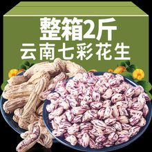 ����߲ʻ�����������ԭζ������ʻ������B�߲�Ұ�ػ������ӬF؛