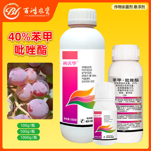 40%��������������̿�Ҳ�ɳƤ����֬�����財�߲˹���׷۲�����