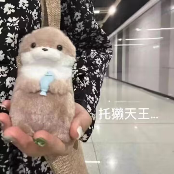 高颜値抱魚ラッコ人形かわいいぬいぐるみ超萌え人形が彼女の親友のアイデアを送っている|undefined