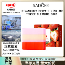 ȫӢ��SADOER��ݮ˽�ܷ���������ں�������100g ������羳����