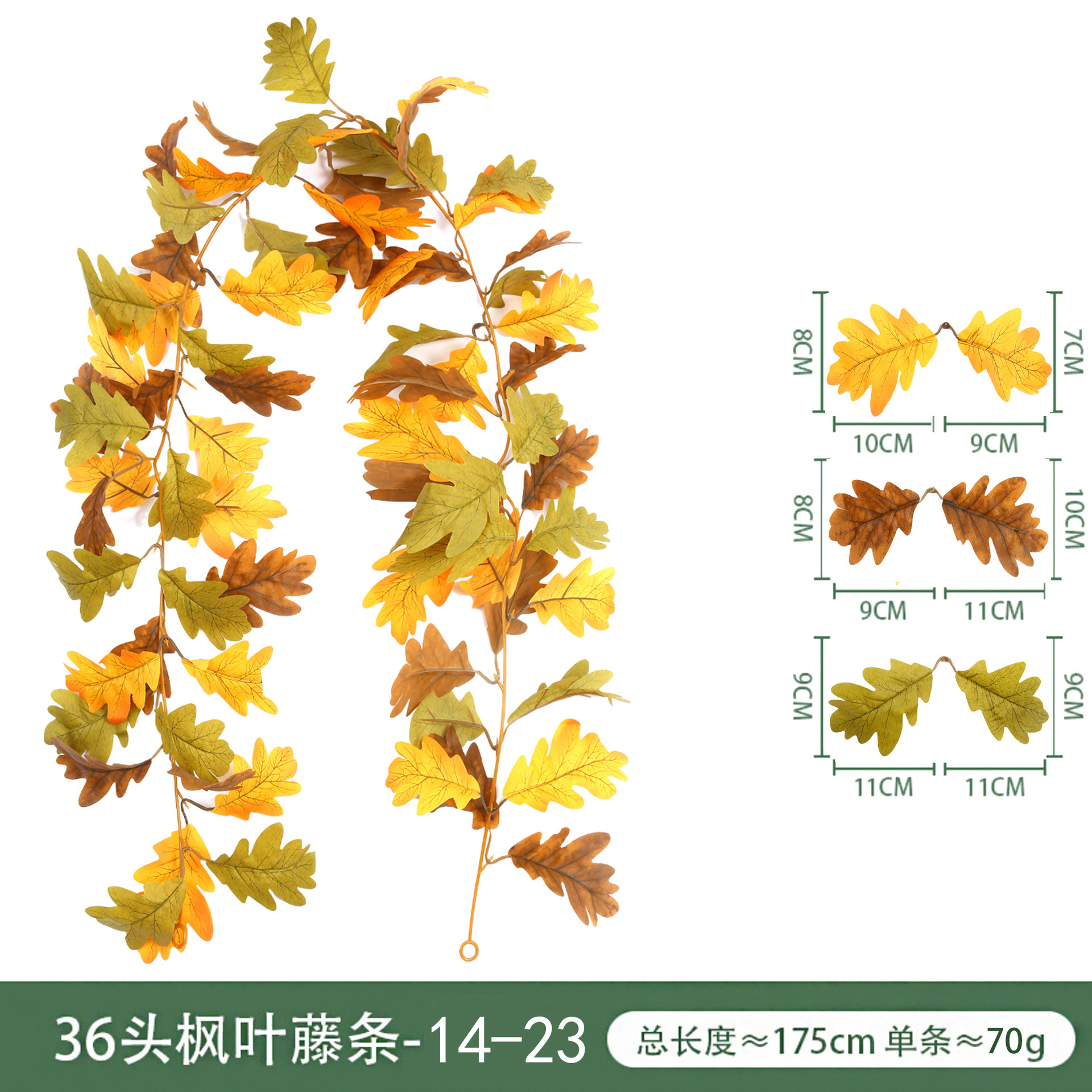 36 Maple Leaf 14-23