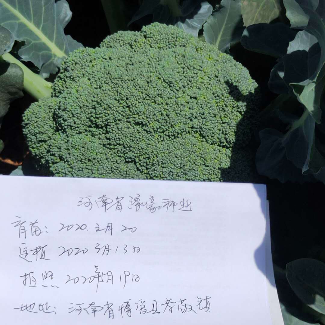 cb265854f619b613c9871ad306aeda