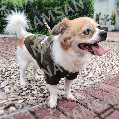 New pet raincoat with reflective strips, hooded dog clothes, waterproof, stowable and foldable, factory direct selling pet clothes