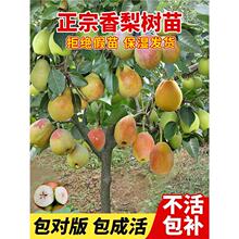 ��������������ɳ��޽�ͥԺ�����ϱ��Nֲ�ش��ͺ����殔��Y��