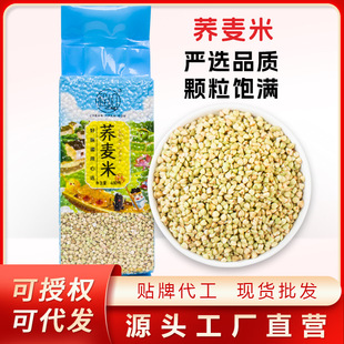 ��ɽ���w���׆����׼��w�����������������r������s�Z�ּZ480g