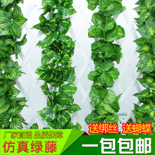 ����G�~ֲ���ٗl�������ϼٻ�����ˮ���ړ�����bG�}�p�@����